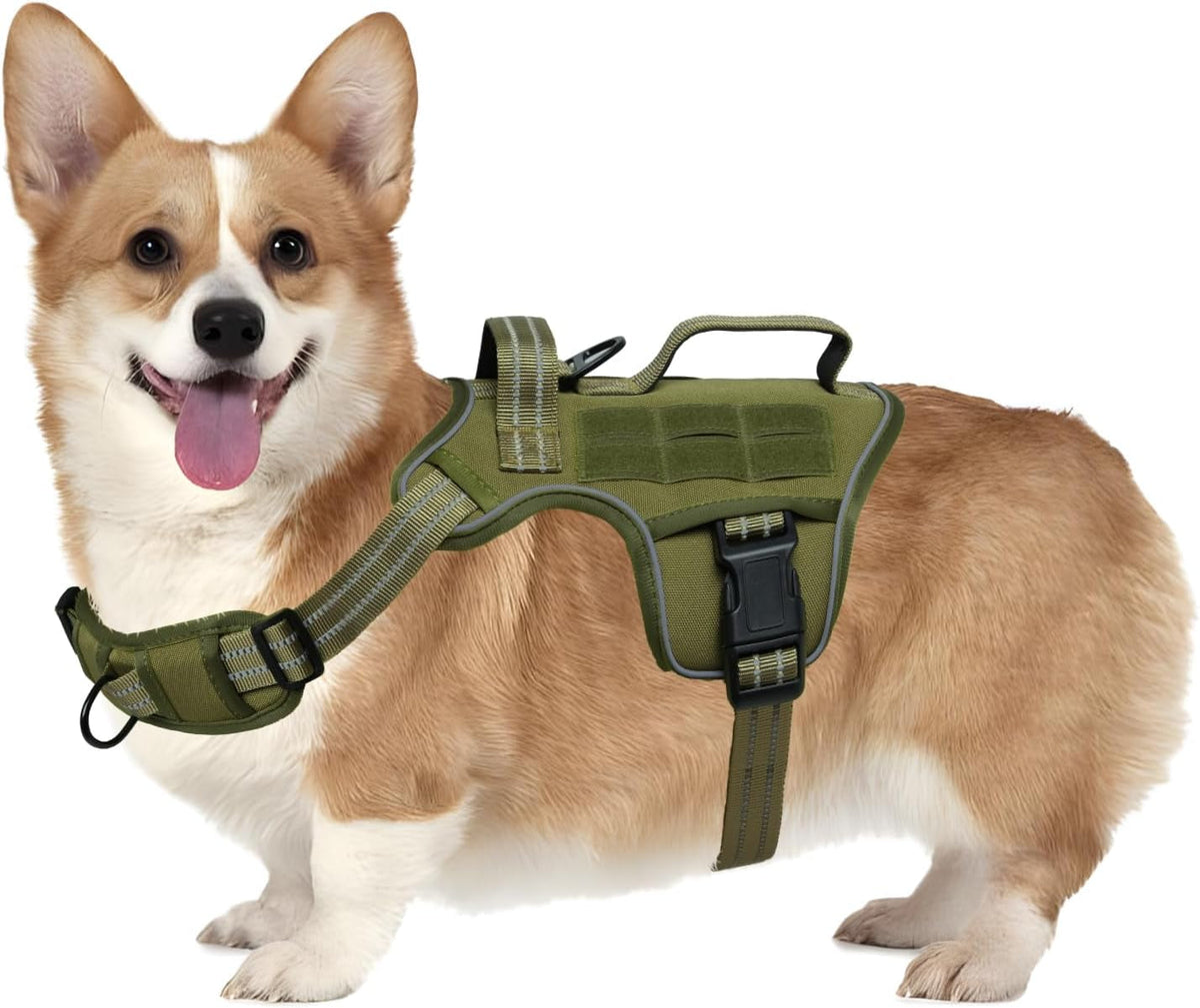 Heavy-Duty MOLLE Tactical Dog Harness, Medium to XL