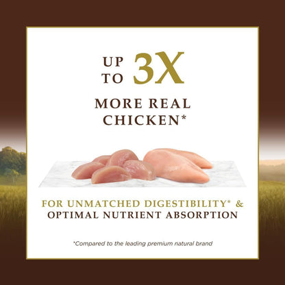 Grain-Free High Protein Dry Cat Food, 10 lb
