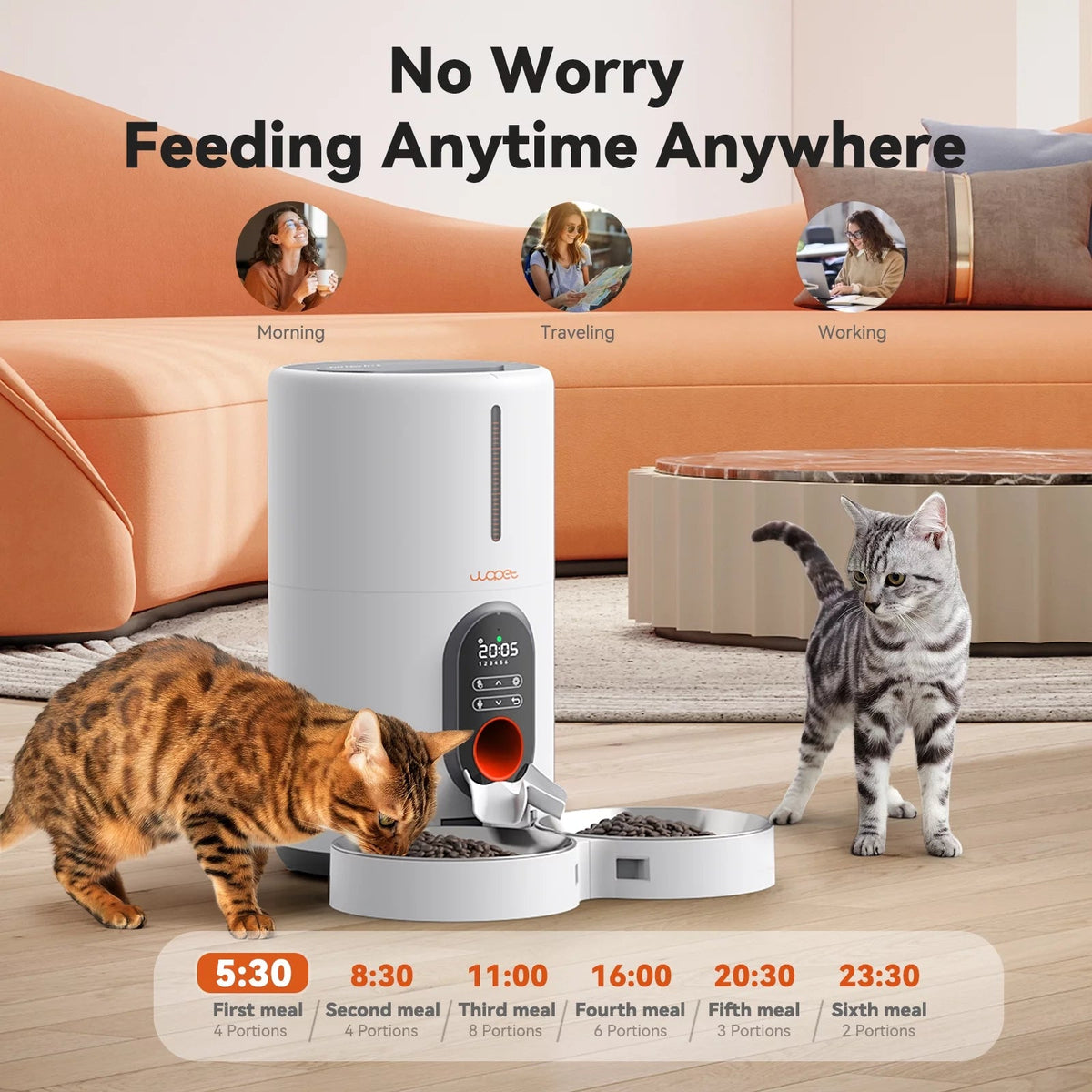 Automatic Pet Feeder for Two Cats or Small Dogs
