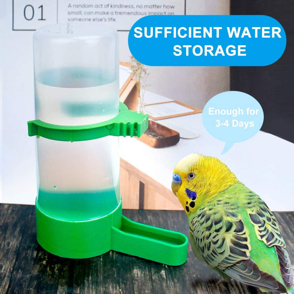Automatic Bird Feeder and Water Dispenser Set
