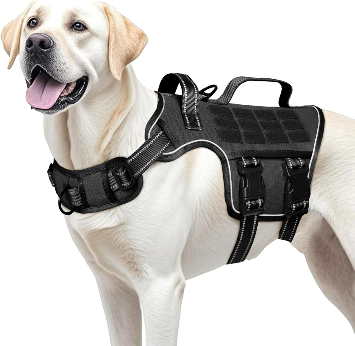 Heavy-Duty MOLLE Tactical Dog Harness, Medium to XL
