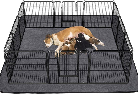 Washable Pee Pad for Dogs, 72 x 72 in