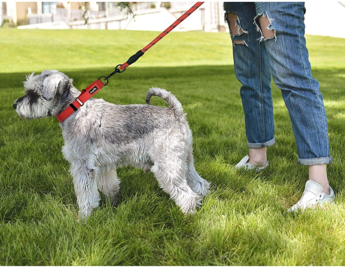 Dog Training Collars with Quick Release, 2 Pack