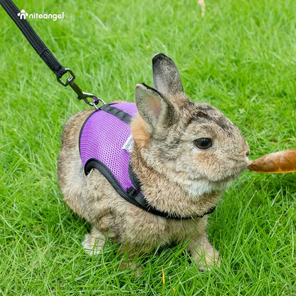 Adjustable Soft Rabbit Harness with Elastic Leash, Medium