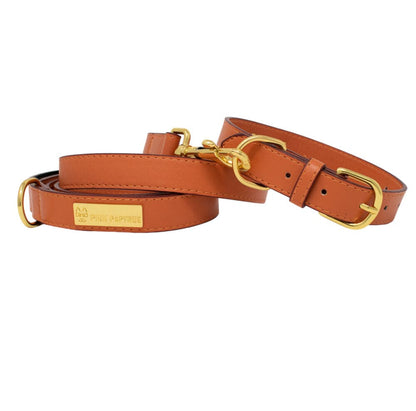 Ainsley dog leash — additional photo 4