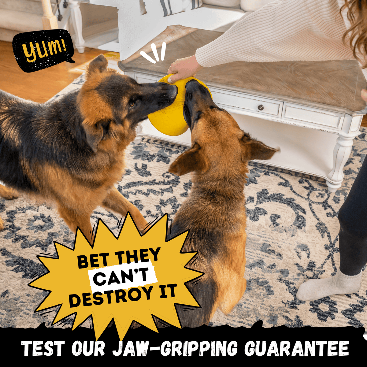 Launch Disc Heavy-Duty Rubber Dog Frisbee