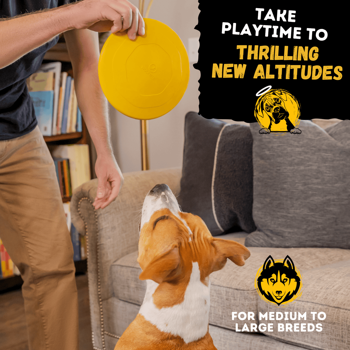 Launch Disc Heavy-Duty Rubber Dog Frisbee
