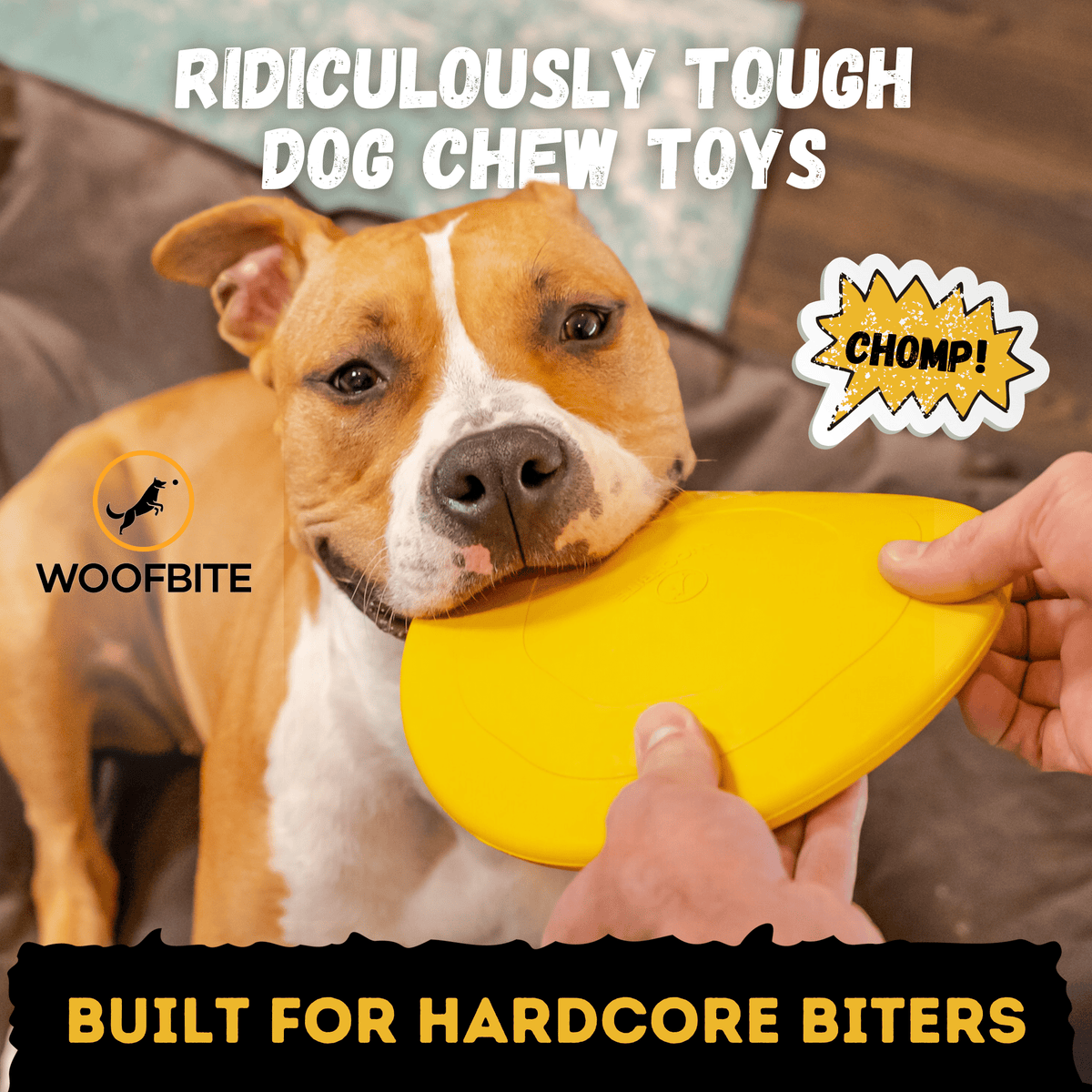 Launch Disc Heavy-Duty Rubber Dog Frisbee