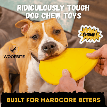 Launch Disc Heavy-Duty Rubber Dog Frisbee