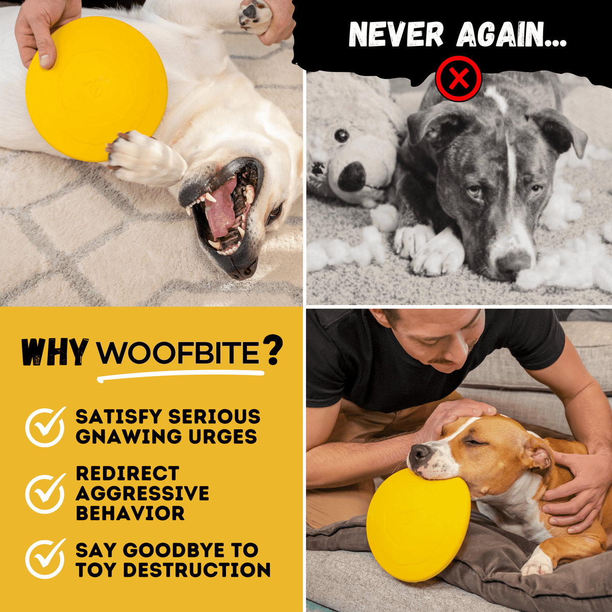 Launch Disc Heavy-Duty Rubber Dog Frisbee