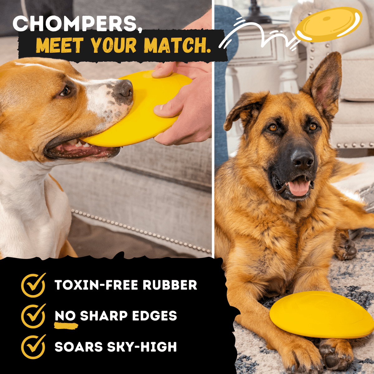 Launch Disc Heavy-Duty Rubber Dog Frisbee