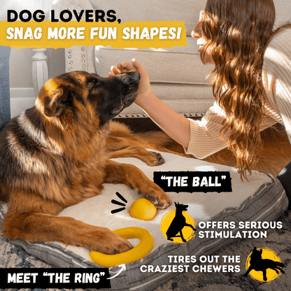 Launch Disc Heavy-Duty Rubber Dog Frisbee