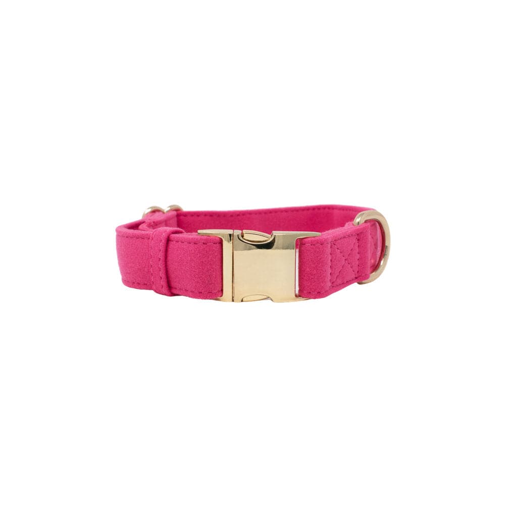 Antoinette dog collar — additional photo 2
