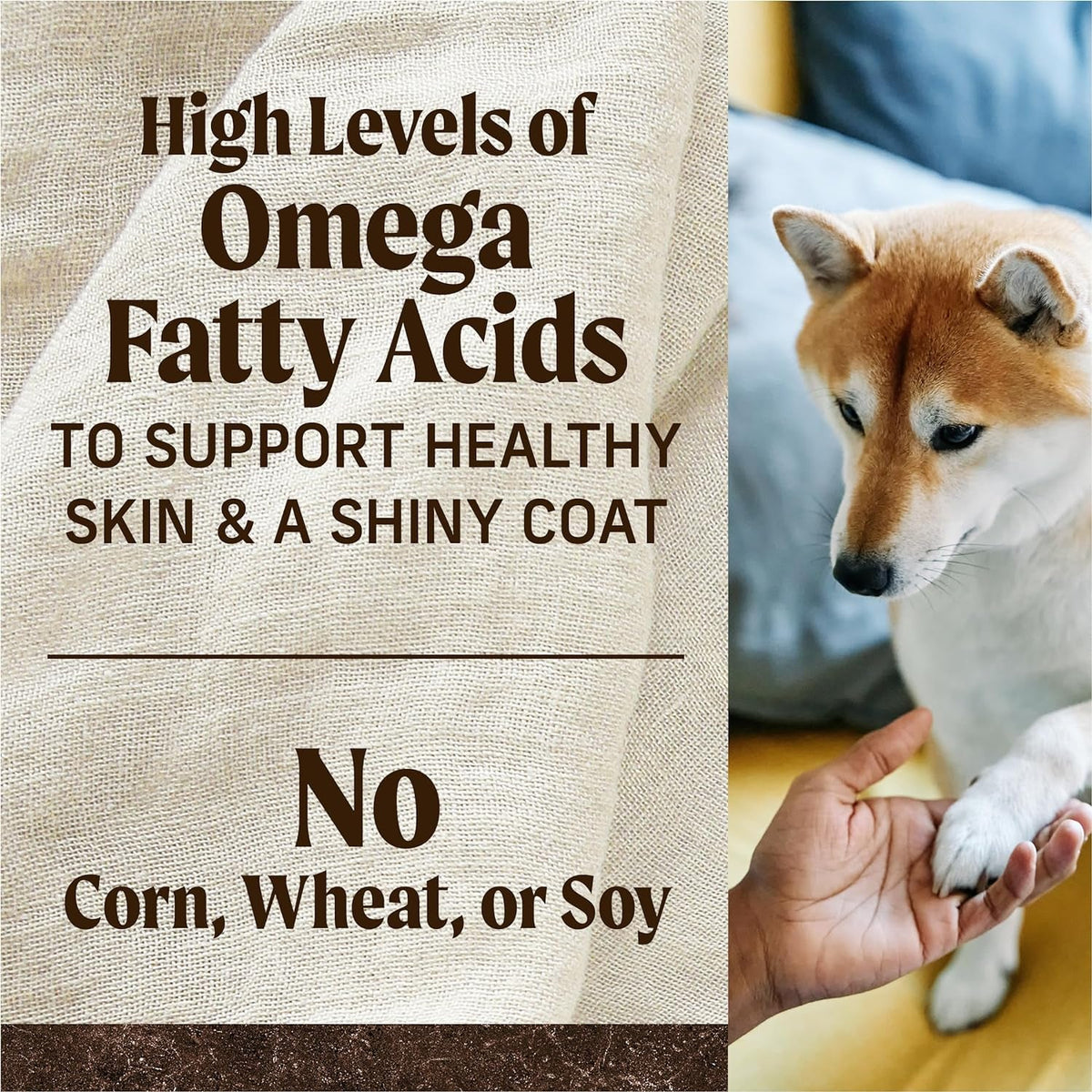 Merrick Grain-Free Dry Dog Food, Chicken and Sweet Potato