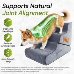 2-in-1 Dog Ramp and Steps for Beds and Sofas