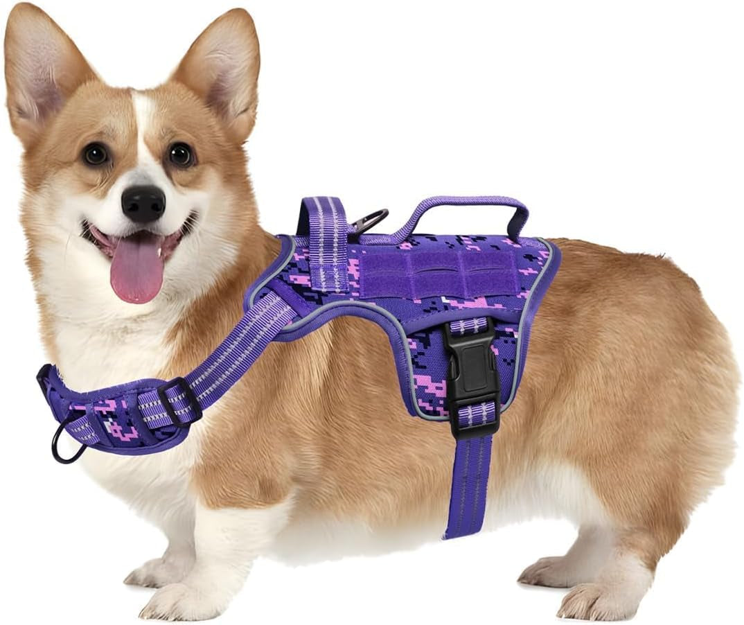 Heavy-Duty MOLLE Tactical Dog Harness, Medium to XL