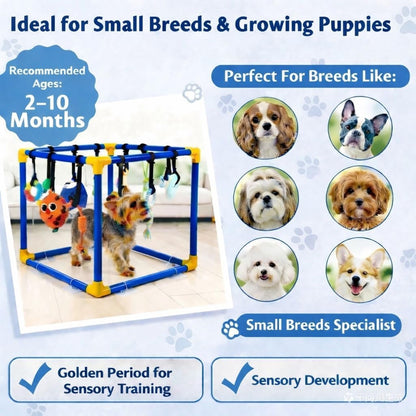 Interactive Puppy Play Gym with 16 Toys