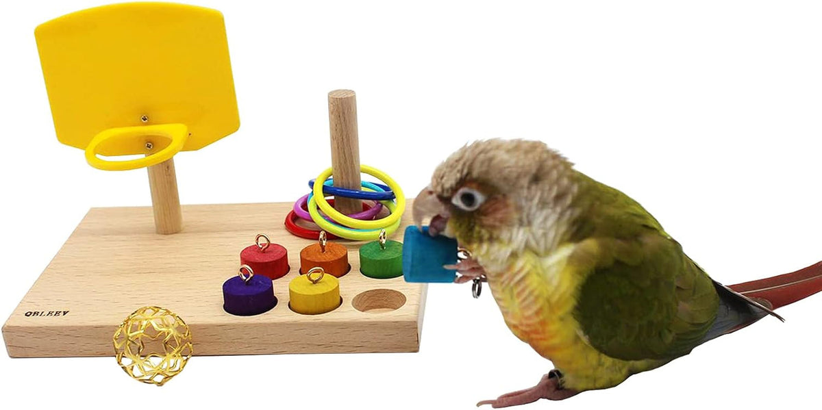 Beech Wood Foraging Puzzle Toy for Budgies and Parrots