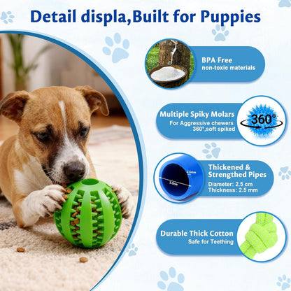 Interactive Puppy Play Gym with 16 Toys