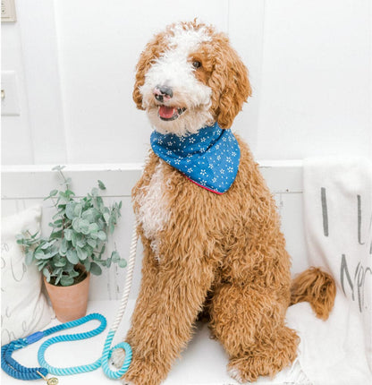 Marlowe dog bandana — additional photo 2