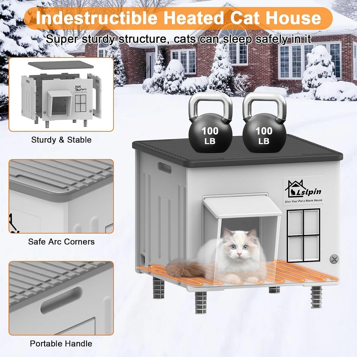 Double-wall plastic cat house structure and carry handle