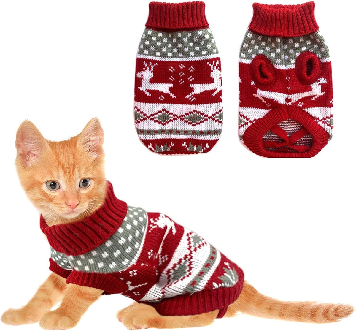 Kitten in red reindeer sweater with front and back views