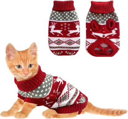 Kitten in red reindeer sweater with front and back views