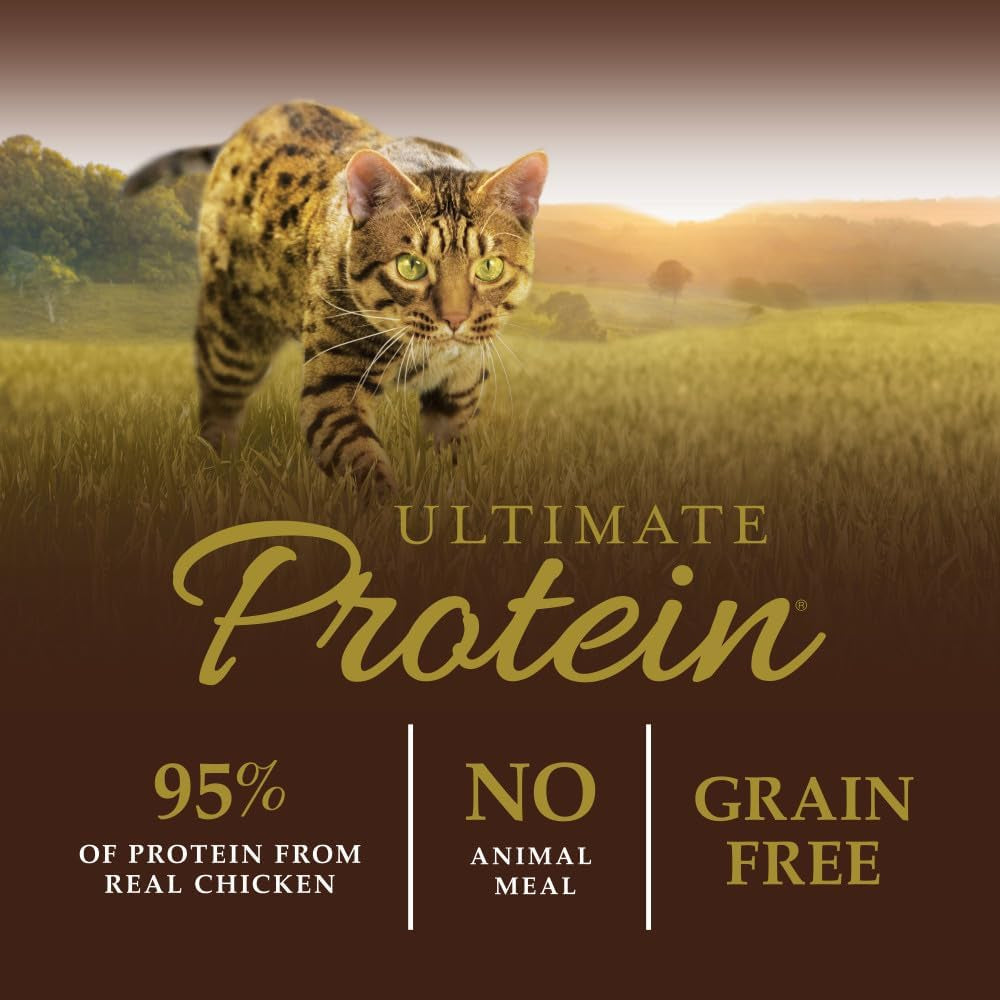 Grain-Free High Protein Dry Cat Food, 10 lb