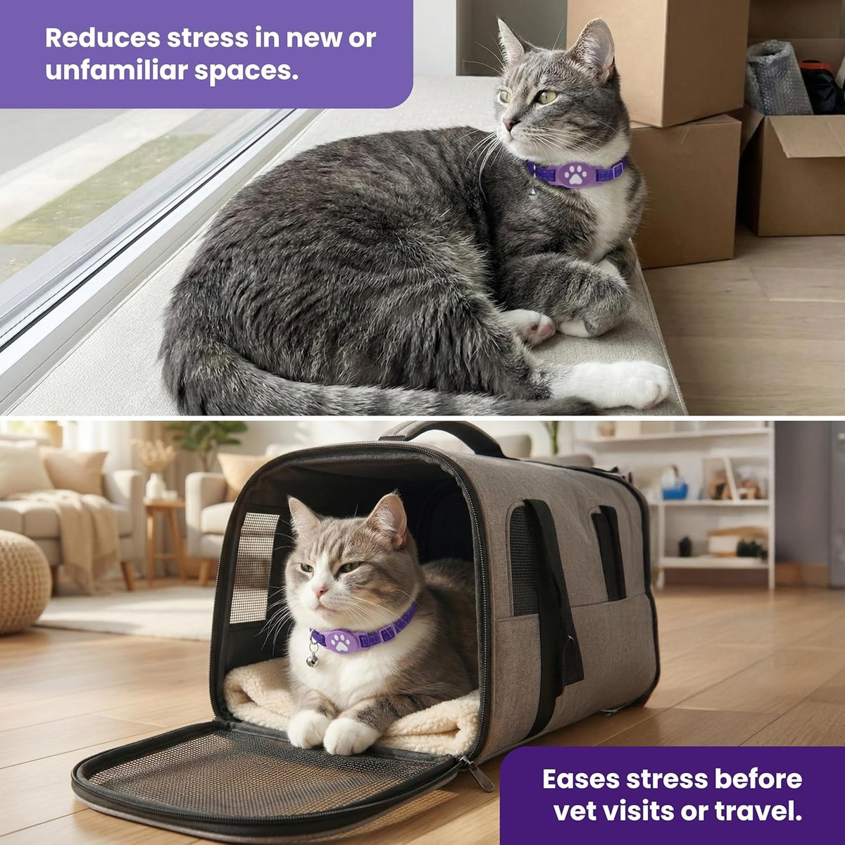 Breakaway Pheromone Collar for Cats