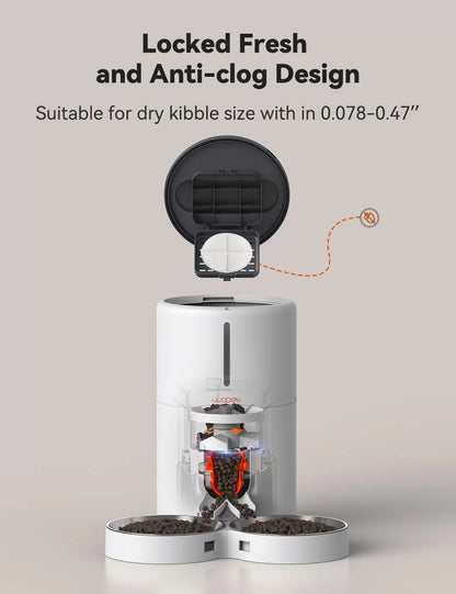Automatic Pet Feeder for Two Cats or Small Dogs