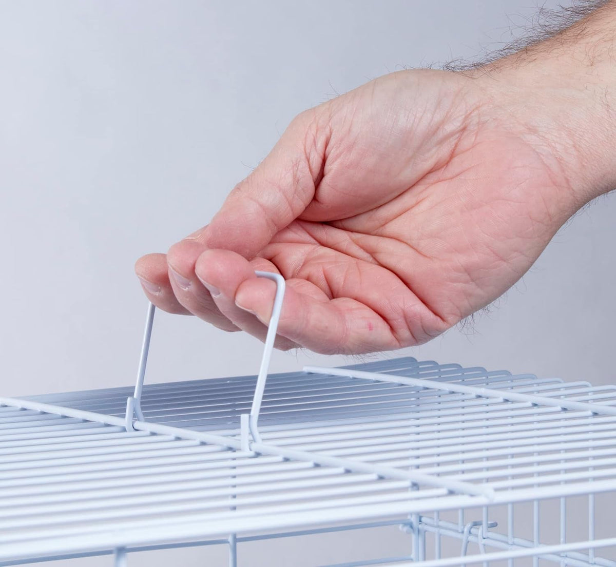Cockatiel and Small Parrot Cage Starter Kit, White