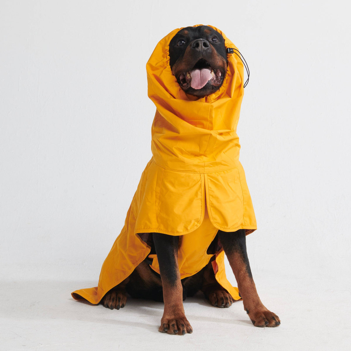 Mustard yellow Breatheshield breathable waterproof dog raincoat - view 3