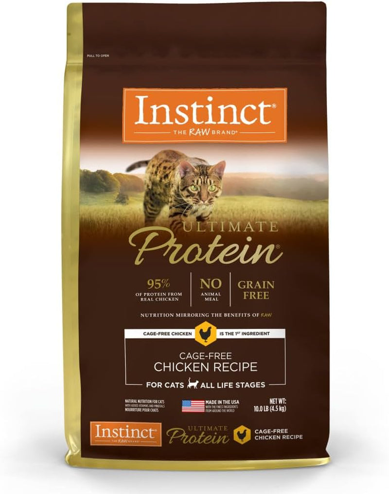 Grain-Free High Protein Dry Cat Food, 10 lb