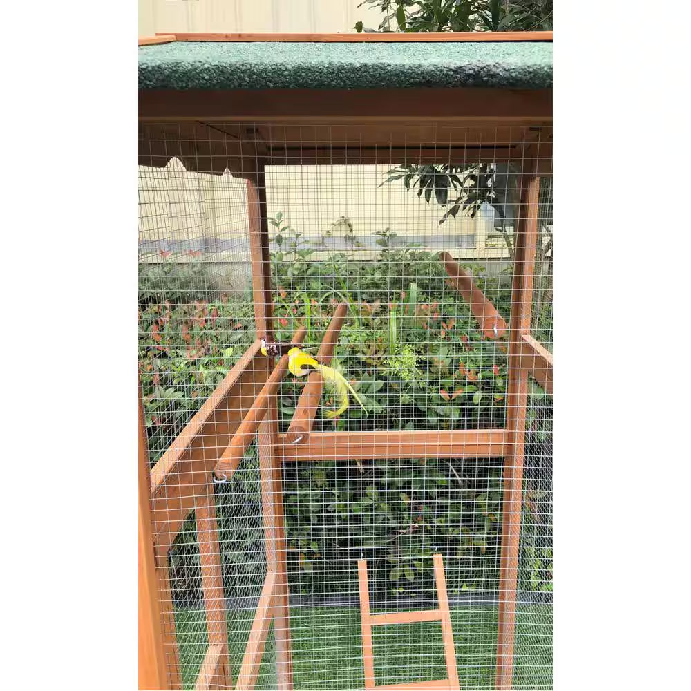 Outdoor Wooden Bird Cage Aviary