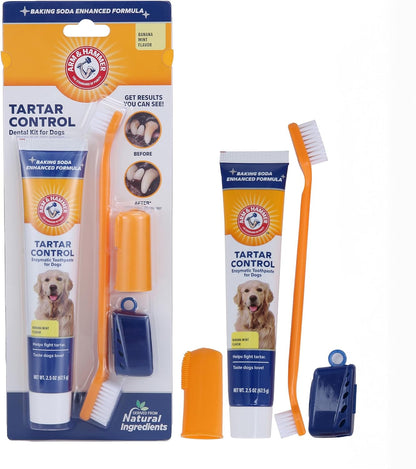 Dental Care Kit for Dogs