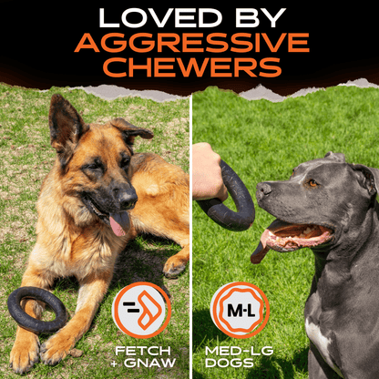 Natural Rubber Chew Ring for Medium and Large Dogs