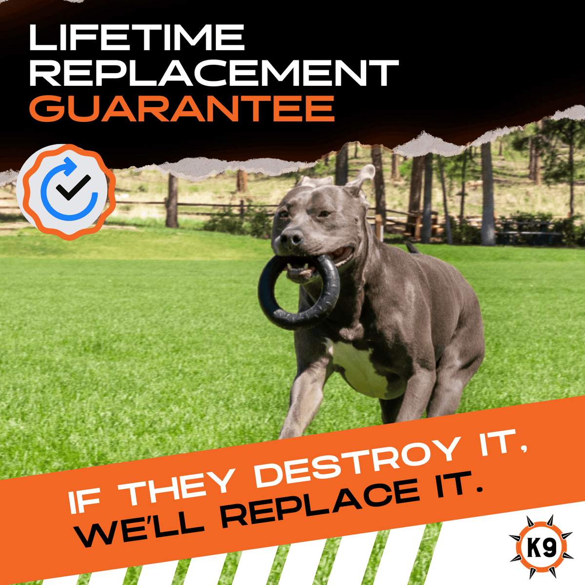 Natural Rubber Chew Ring for Medium and Large Dogs