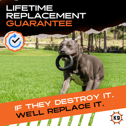 Natural Rubber Chew Ring for Medium and Large Dogs