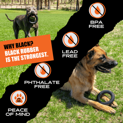 Natural Rubber Chew Ring for Medium and Large Dogs