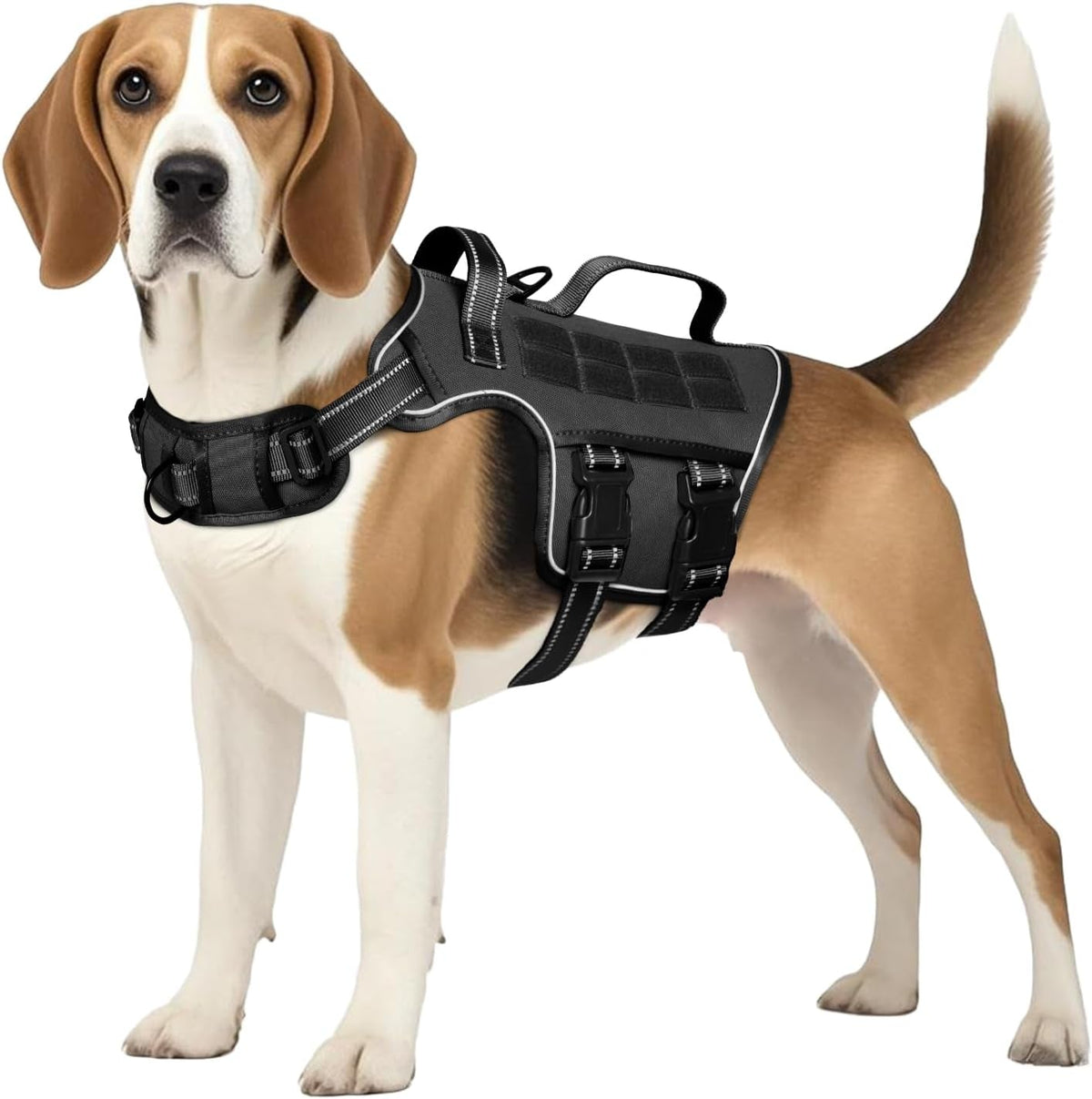 Heavy-Duty MOLLE Tactical Dog Harness, Medium to XL