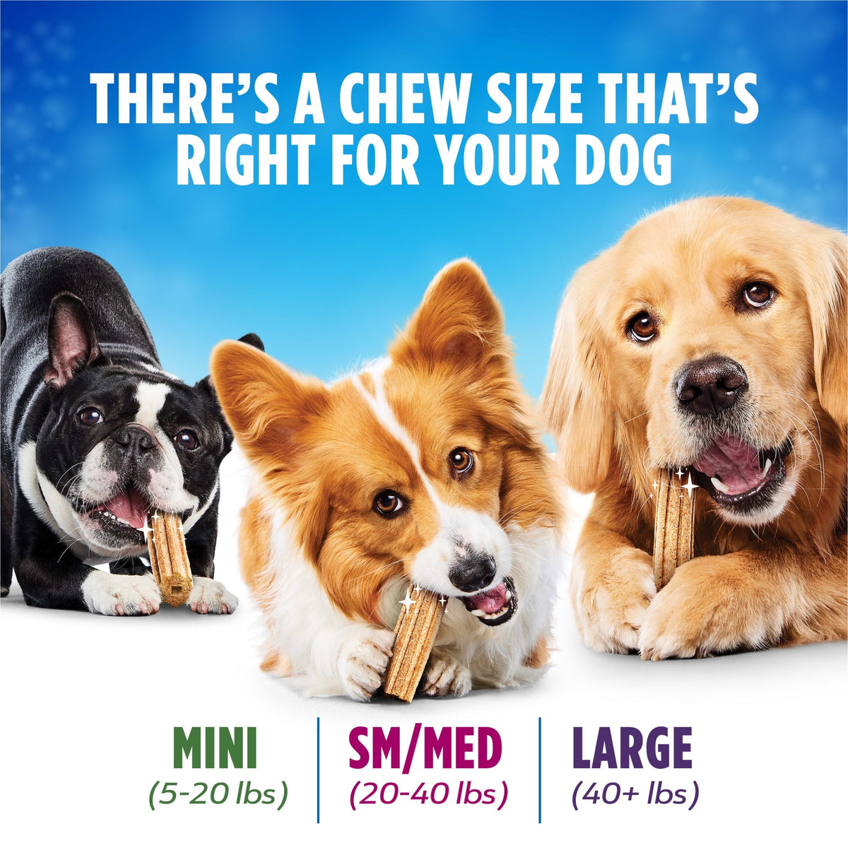 Purina DentaLife Dental Chews for Large Dogs, 18 Count, 20.7 oz