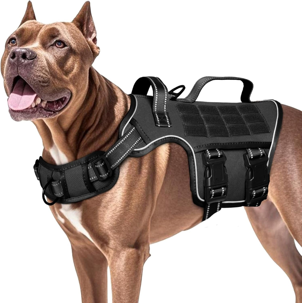 Heavy-Duty MOLLE Tactical Dog Harness, Medium to XL