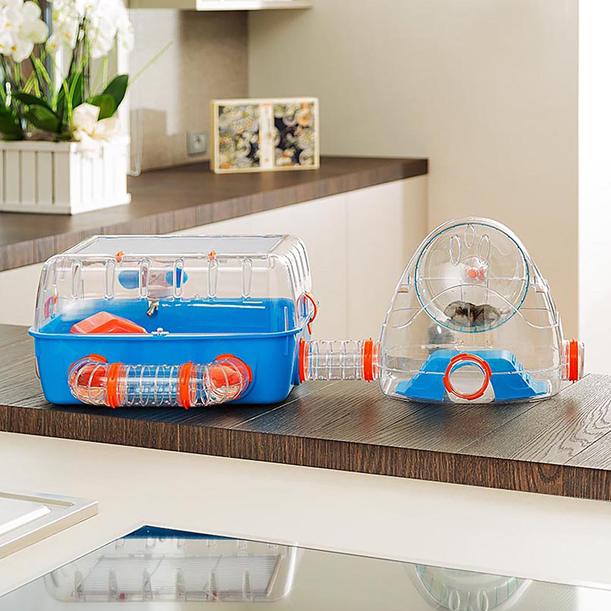 Combi 2 Starter Hamster Cage with Accessories, Blue
