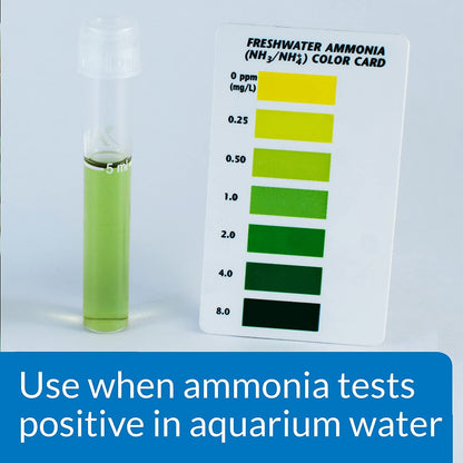 Aquarium ammonia test vial and colour card used before dosing API AMMO-LOCK