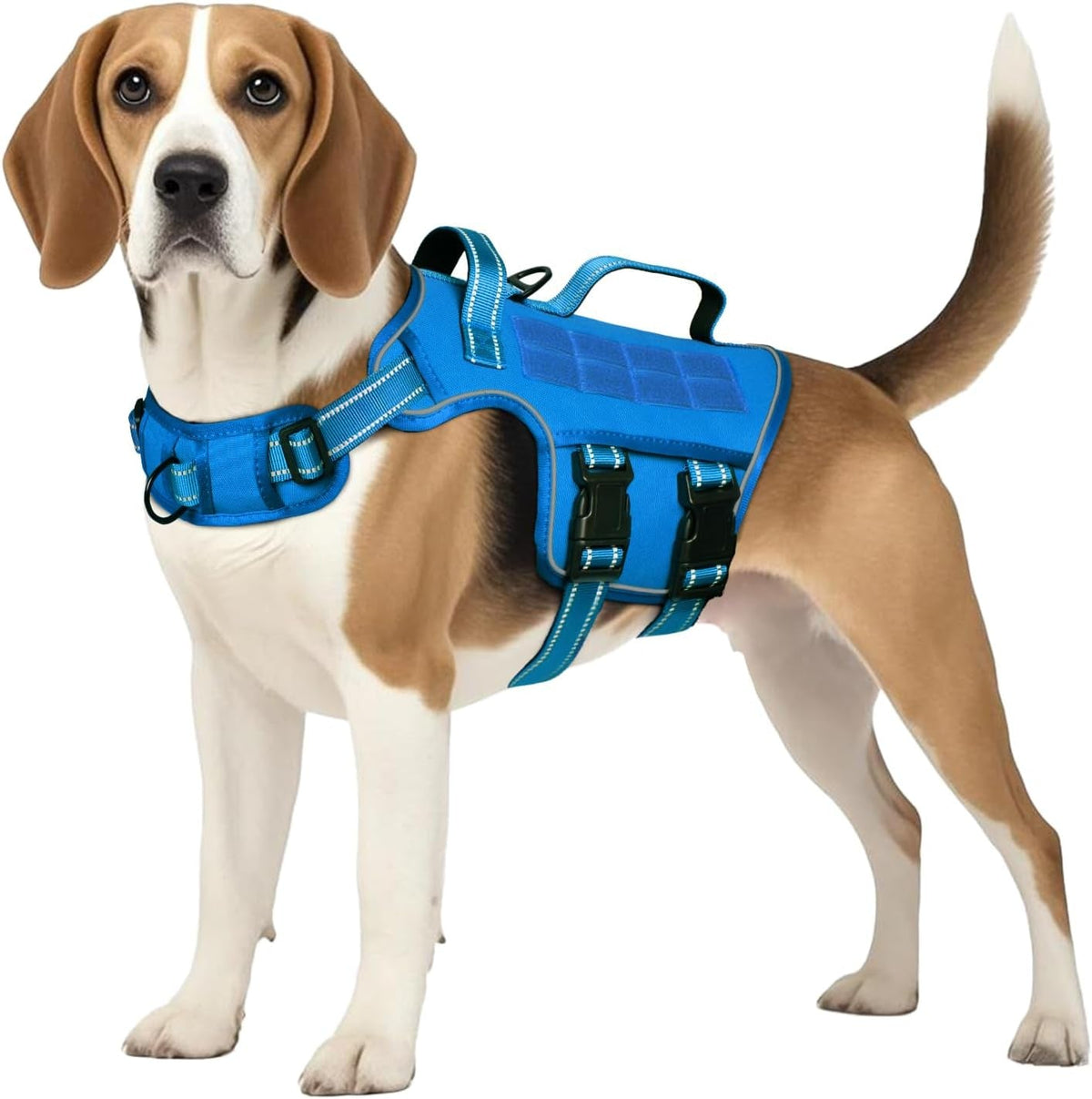 Heavy-Duty MOLLE Tactical Dog Harness, Medium to XL