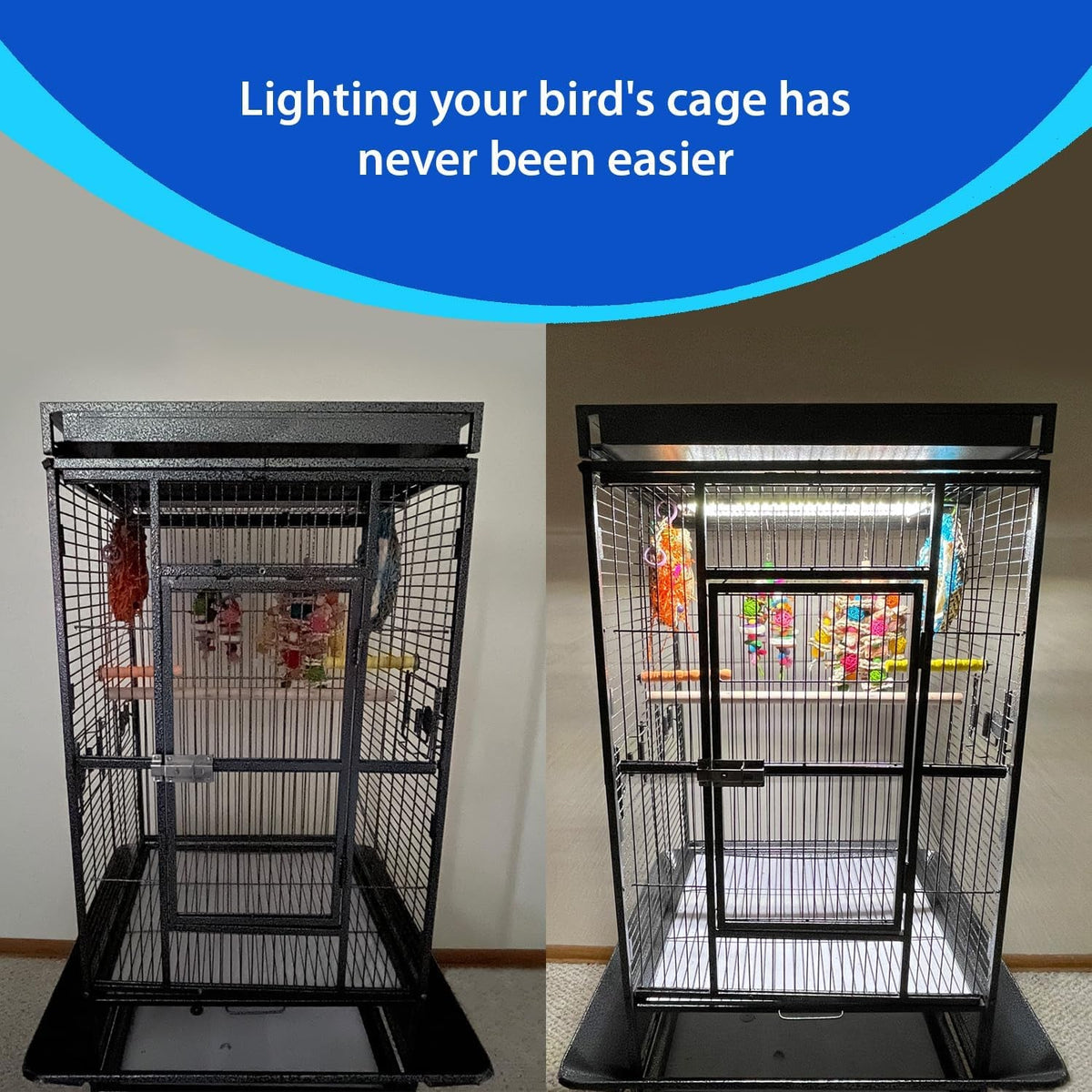 Bird Cage Light with Chew Guard