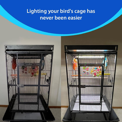 Bird Cage Light with Chew Guard