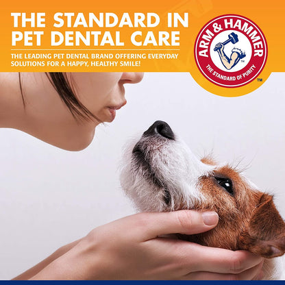 Dental Care Kit for Dogs