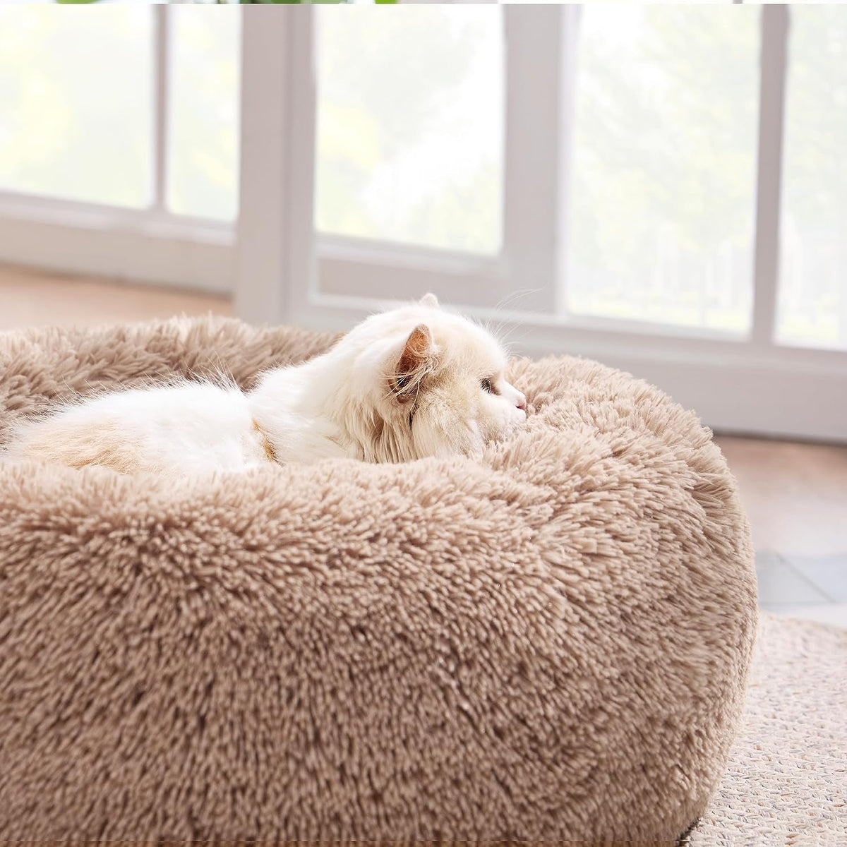 Bedsure donut cat bed size chart with the 20 x 20 x 6 inch XS size marked