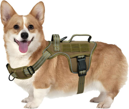 Heavy-Duty MOLLE Tactical Dog Harness, Medium to XL